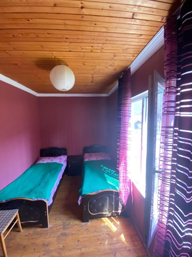 Shaulini Hotel Kashveti Exterior photo